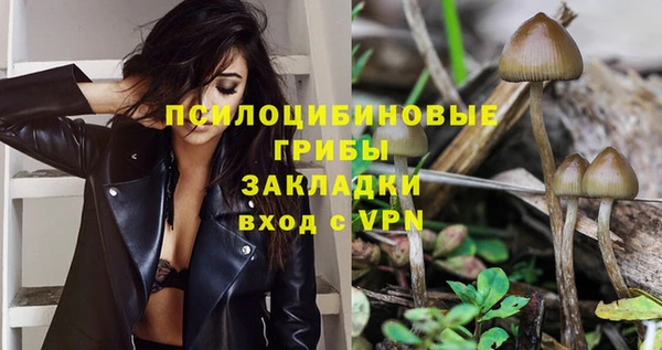 ГАЛЛЮЦИНОГЕННЫЕ ГРИБЫ Армянск