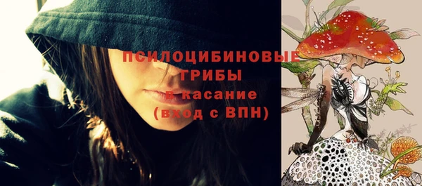молекула духа Арсеньев